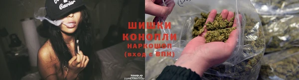 гидра Переславль-Залесский
