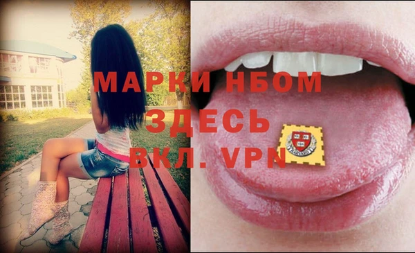 гидра Переславль-Залесский